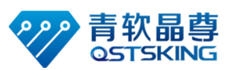 青软晶尊微电子科技 logo